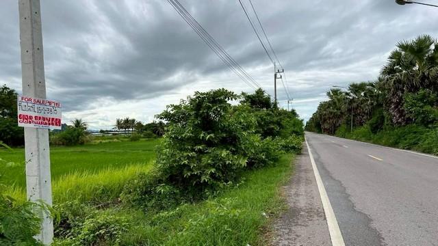 ขายที่ดินแปลงสวย 15 ไร่ 1 งาน 37.7 ตารางวา ติดถนนโยธาธิการ ตำบลหนองจอก อำเภอท่ายาง จังหวัดเพชรบุรี 2