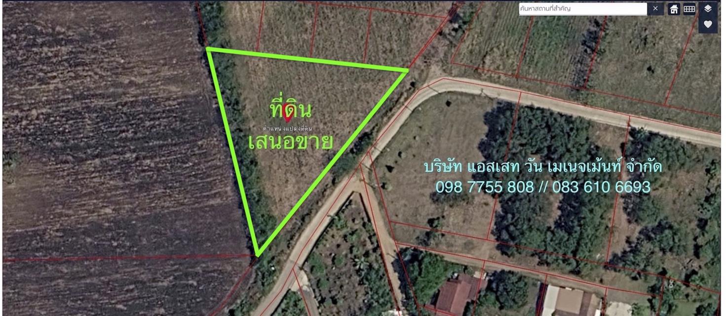 ขายที่ดิน 576 ตารางวา พญาเย็น ปากช่อง ใกล้ตลาดมวกเหล็ก 1 กิโลเมตร 098 7755 808 1