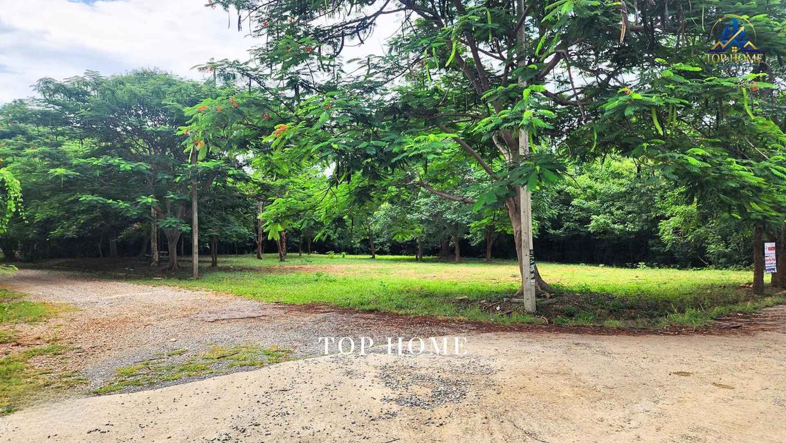 ขายด่วน! ที่ดินแปลงมุม วิวภูเขา | มวกเหล็กวัลเลย์ สระบุรี 🔥 🌿 แปลงสวย ถมแล้ว บรรยากาศดี เป็นส่วนตัว — พร้อมสร้างบ้านพักตากอากาศในฝัน 11