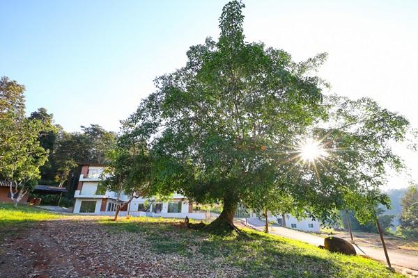 ขายที่ดิน พร้อมอาคาร วิวทะเลหมอก ทำเลศักยภาพ ดอยสะเก็ด – เชียงใหม่ บนเนื้อที่ 5 ไร่กว่า โทร 087-8783536 15