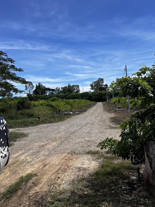 ที่ดินเปล่าข้างสนามกอร์ฟบางปูสปอร์ต 4