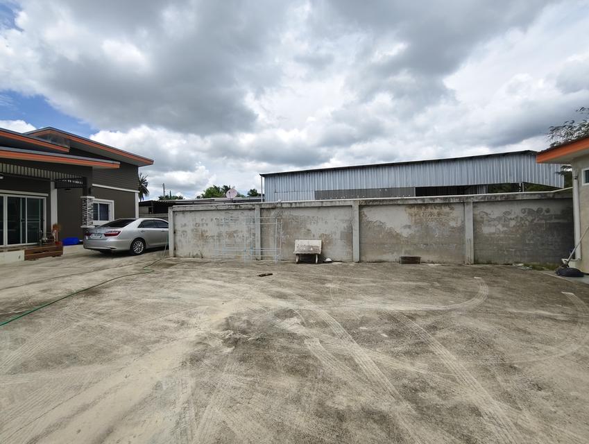 ขายบ้านเดี่ยวพัทยา 128 ตรว. หลังมุม 📍โป่ง บรรยากาศเงียบสงบ เหมาะเป็นบ้านพักวัยเกษียณ บ้านพักตากอากาศ บ้านสวย 5