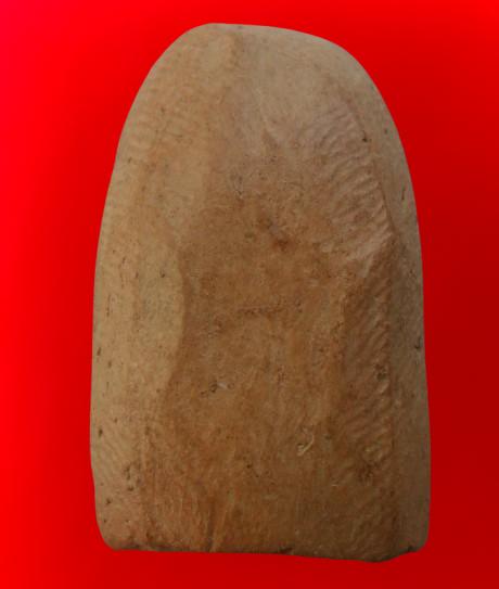 พระซุ้มกอเนื้อดินเก่าค่ะ รูปที่ 6