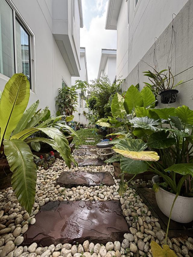 บ้านมือสอง สภาพดี แพรกษาสมุทรปราการ ใกล้ BTS 13