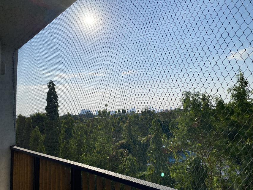 ให้เช่า เดอะ กรีน ลีฟวิ่ง คอนโด 10,000 บาท 9