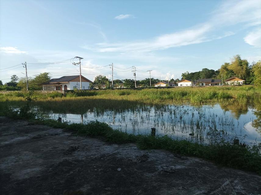 ขายที่ดิน(โรงงานเก่า) ต.แม่คือ อ.ดอยสะเก็ด จ.เชียงใหม่ 8