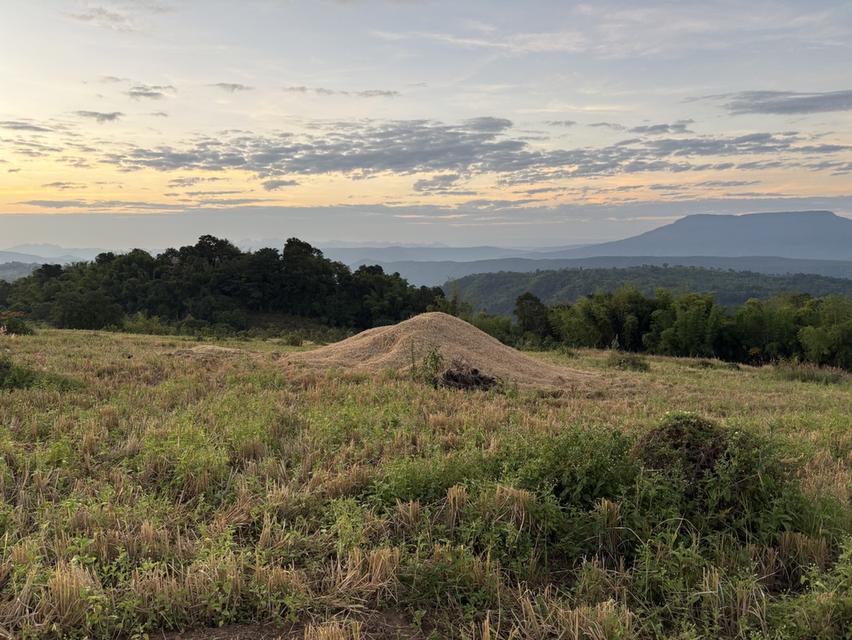 ⛰️ จุดที่สูงที่สุดและสวยที่สุด อ.น้ำหนาว จ.เพชรบูรณ์ 30ไร่ 6 ล้านบาท ห่างจากถนนเส้นหลัก(2216) 🛣️ แค่ 600 เมตร ห่างตัวเมือง1กิโล 6