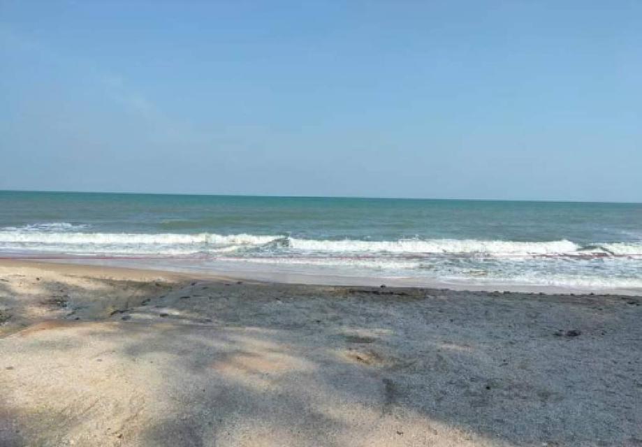 รูป ขายที่ดินติดทะเล หาดเจ้าหลาว จันทรบุรี มีโฉนด ติดทะเลหาดส่วนตัว 2