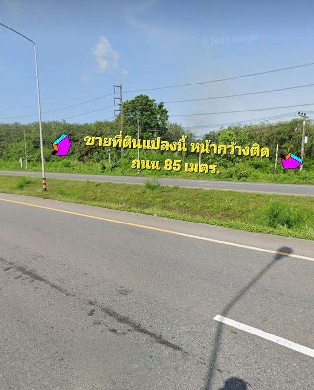 ขายที่ดินติดถนนเอเขีย41 สุราษฯ-ทุ่งสง