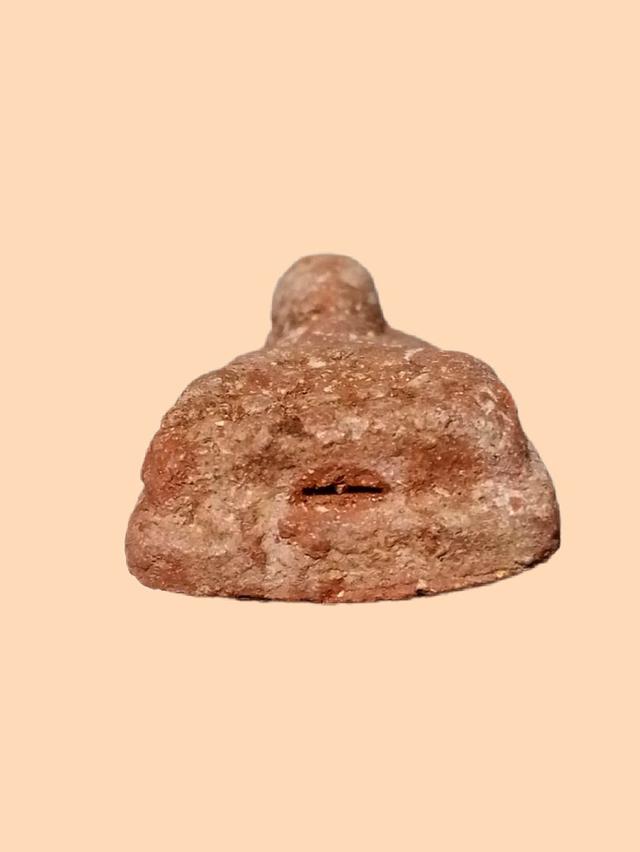 หลวงปู่ทวดเนื้อว่านสบู่เลือดปี 2497 5