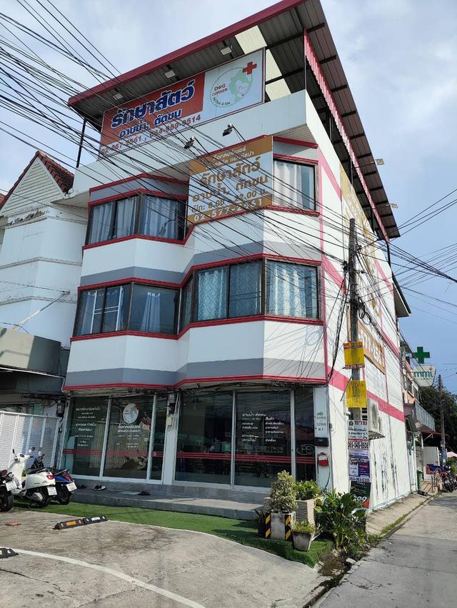 รพ.สัตว์ ดีซี เพ็ทฮอสปิทอลแอนด์สปา คลอง5 ธัญบุรี