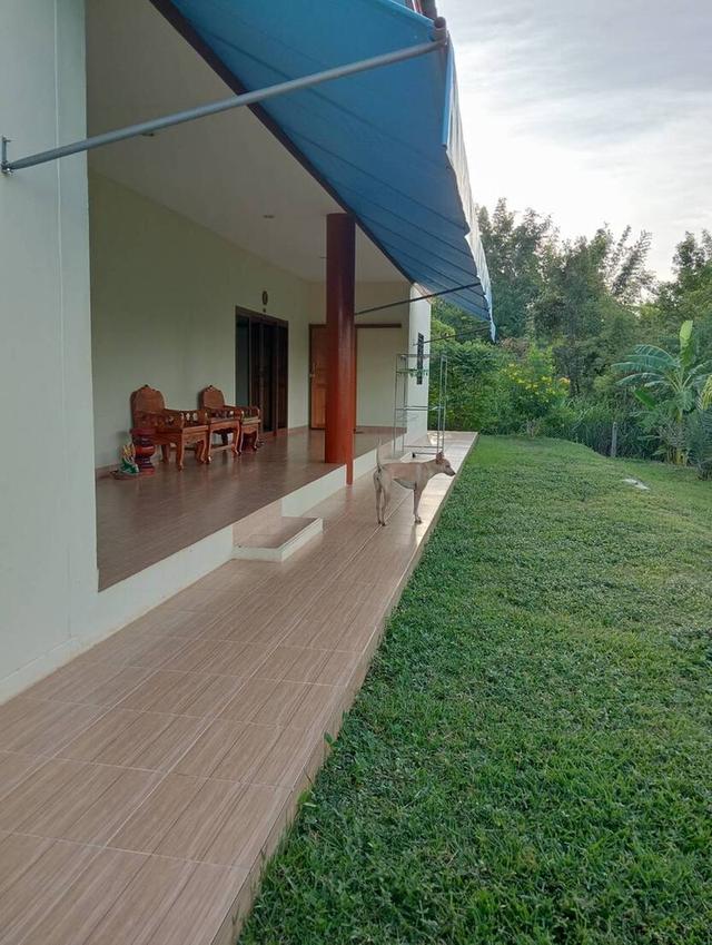 ขายบ้านพร้อมที่ดินโฉนดครุฑแดง จ.ตาก เนื้อที่4ไร่ บ้านหลังใหญ่ 1หลังพร้อมบ้านน้อยเก็บของ 1หลัง 4