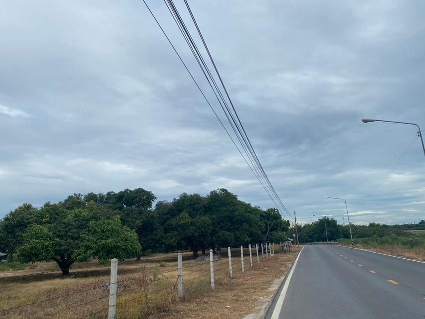 ที่ดินสวยใกล้ท่าเรือมาบตาพุดระยอง ที่ดินม่วงลายใกล้นิคมอุตสาหกรรมมาบตาพุด เนื้อที่ 33 ไร่ ที่ดินผังม่วงลาย 4