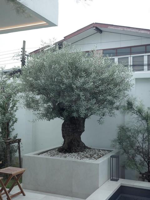 ขายบ้านเดี่ยวสไตล์พูลวิลล่า สีขาว Minimal 2 ชั้นสร้างใหม่ 100 ตรว. ซอยลาดพร้าว 64 พร้อมสระว่ายน้ำ ใกล้รถไฟฟ้า ใกล้รัชดา 7