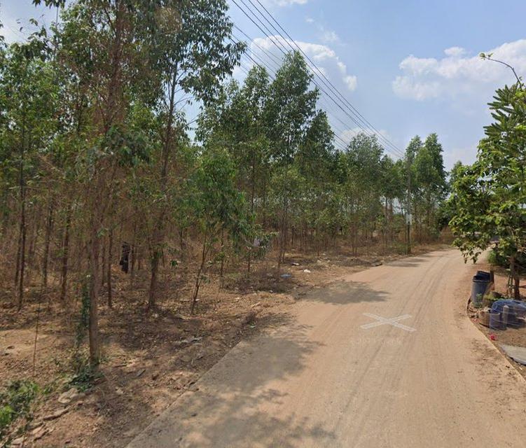 ขายที่ดินกรอกสมบูรณ์ 2 ไร่ ซอยโรงเรียนดาราวัฒนา ใกล้นิคม304-4กม. อ.ศรีมหาโพธิ ปราจีนบุรี 2