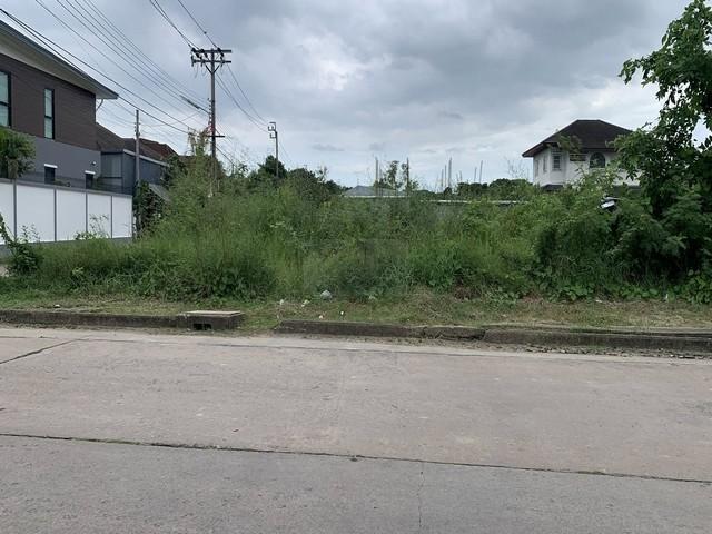 ขายที่ดินถมแล้ว 487 ตรว. ติดถนน 3 ด้าน ในหมู่บ้านศรีนคร ซ.นวมินทร์ 24 เขตบึงกุ่ม 1