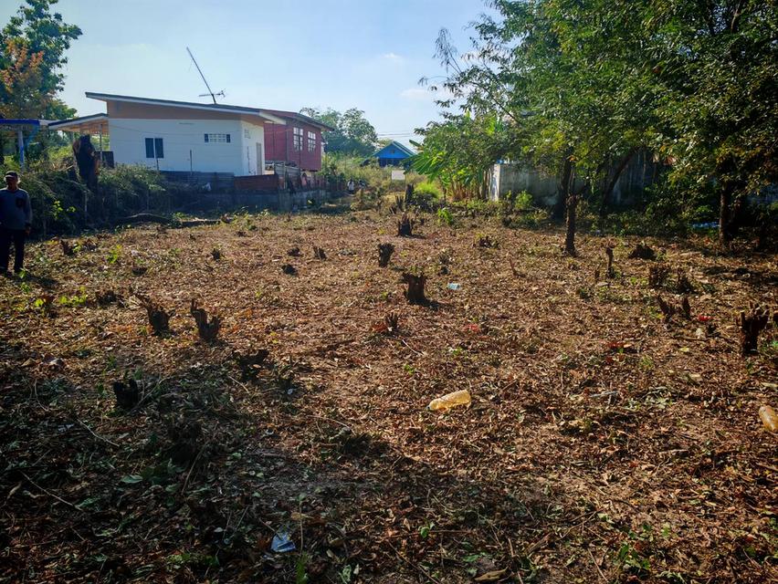 ขายที่ดินสวย ใกล้ทางหลวง ตำบลหนองบัว เมืองอุดรธานี รูปย่อยที่ 4