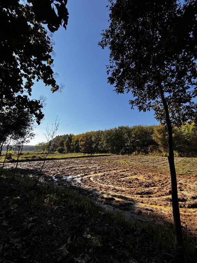 ปล่อยที่ดินเปล่าสวนเกษตร 3