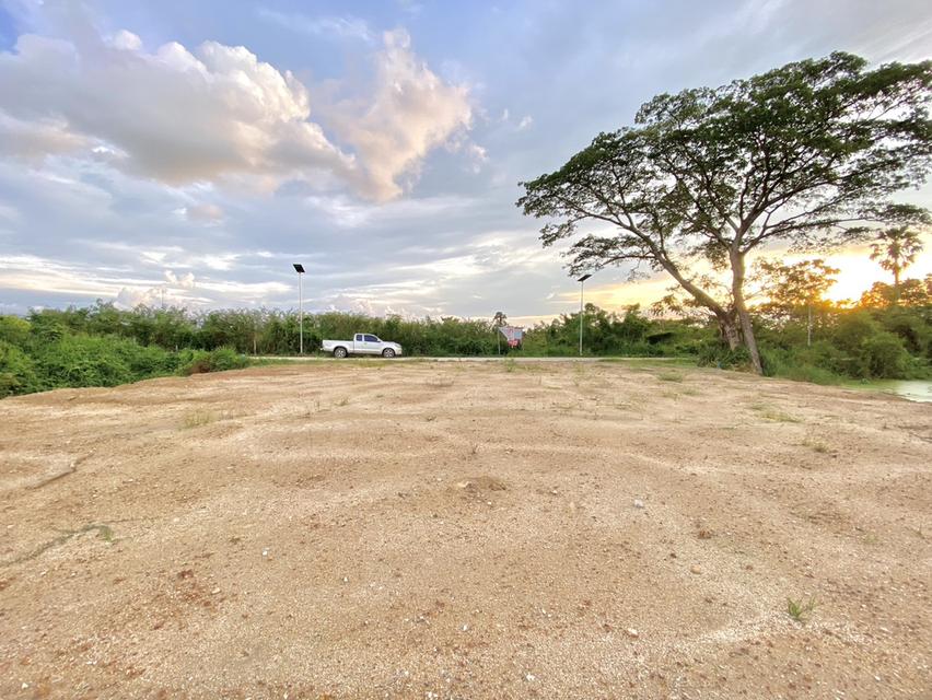 ขายที่ดินเชิงเนินถมแล้ว 194 ตรว. ใกล้ถนนเส้น36(แยกบ้านแลง)-170เมตรใกล้เซ็นทรัลระยอง-3กม. เมืองระยอง 2