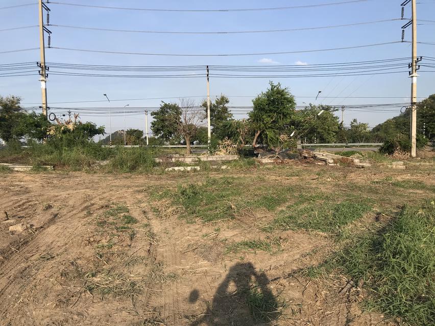 ที่ดินสวยทำเลดีมากติดทางหลวง340สุพรรณบุรี 4