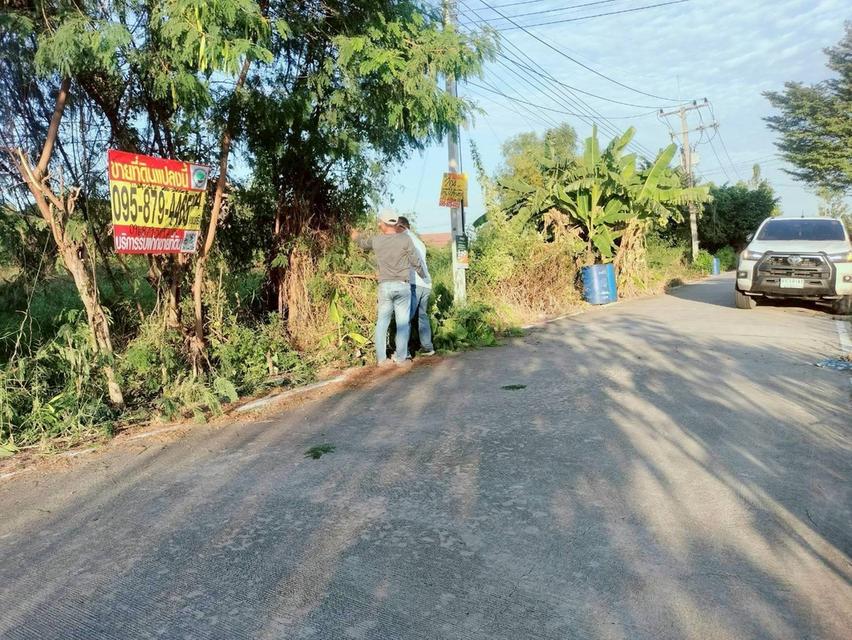 ขายถูกที่ดินใกล้วัดธรรมกาย 204  ตรว ติดถนนคอนกรีตสาธารณะ ซ.คลองสาม 10/15 อ.คลองหลวง จ.ปทุมธานี 4