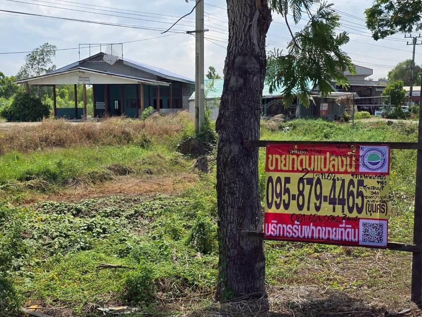 ขายด่วนที่ดินติดถนนบางบัวทอง-สุพรรณบุรี 2 ไร่ เทพมงคล บางซ้าย พระนครศรีอยุธยา 5