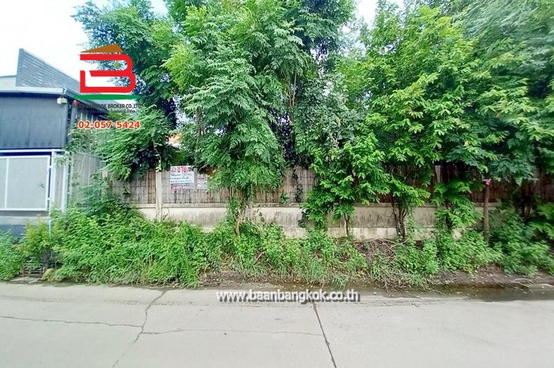ที่ดินเปล่า ซอยนิมิตใหม่ 11 เนื้อที่ 100 ตรว. ถนนนิมิตใหม่ แขวงทรายกองดิน เขตคลองสามวา กรุงเทพมหานคร 1