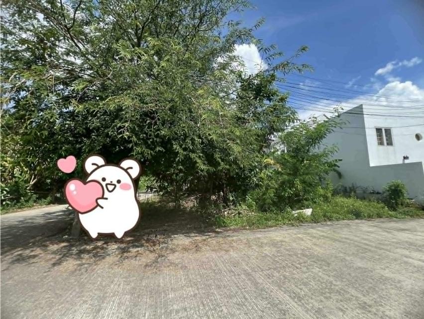 ที่ดิน พื้นที่ 46.1 ตารางวา ถนนนวลแก้ว หาดใหญ่ 2