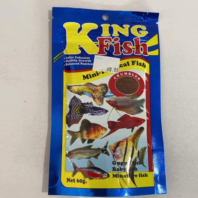 King Fish Mini Tropical Fish 2