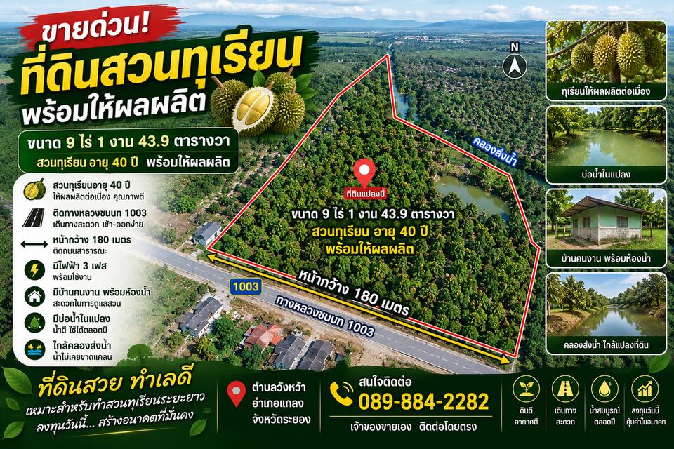 สวนทุเรียน 40 ปี (9-1-43 ไร่) หน้ากว้าง 180 เมตร 1