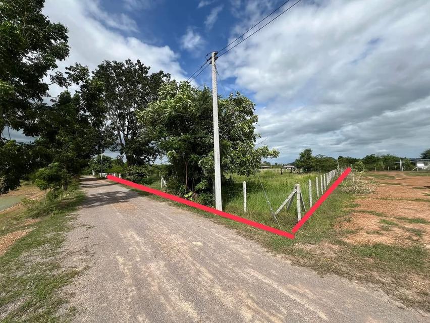 ขายที่ดิน 394 ตรว. จอมบึง ราชบุรี 6