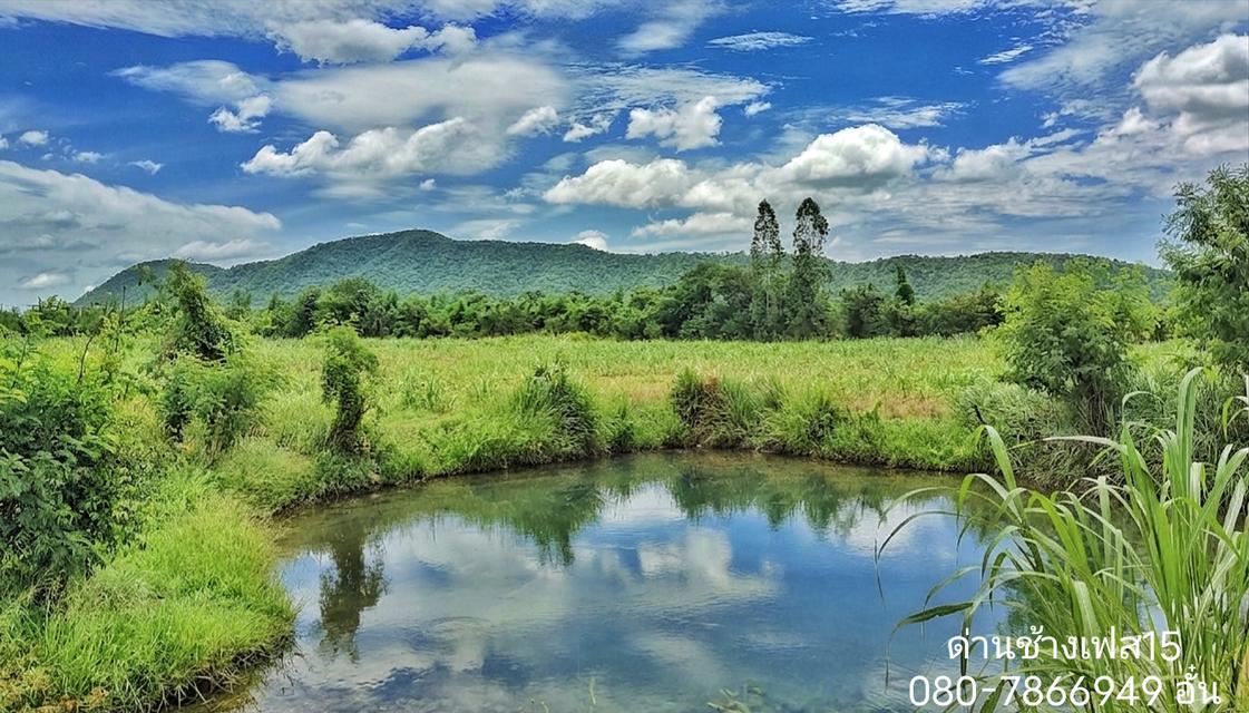 ด่านช้าง เฟส15 (สด-ผ่อน) 📢 ที่ดินโฉนดวิวเขาสุดสวย360° แบ่งแปลงละ1-2ไร่ ไร่ละ550,000 โทร 080-7866949 อั๋น LINE ID : PHISEK.MA 4