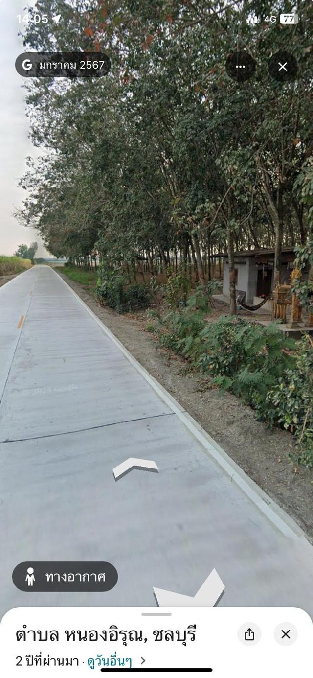 ที่ดิน 50ไร่ หนองอิรุณ บ้านบึง พื้นที่ม่วงลาย ไร่ละ3ล้าน 1