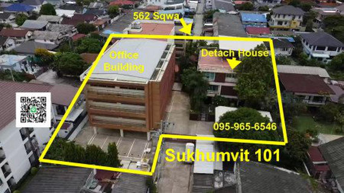 Sale Land 1.5Rai at Sukhumvit plus Office building and house with private pool at Best Price 1