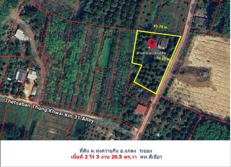ที่ดิน 1