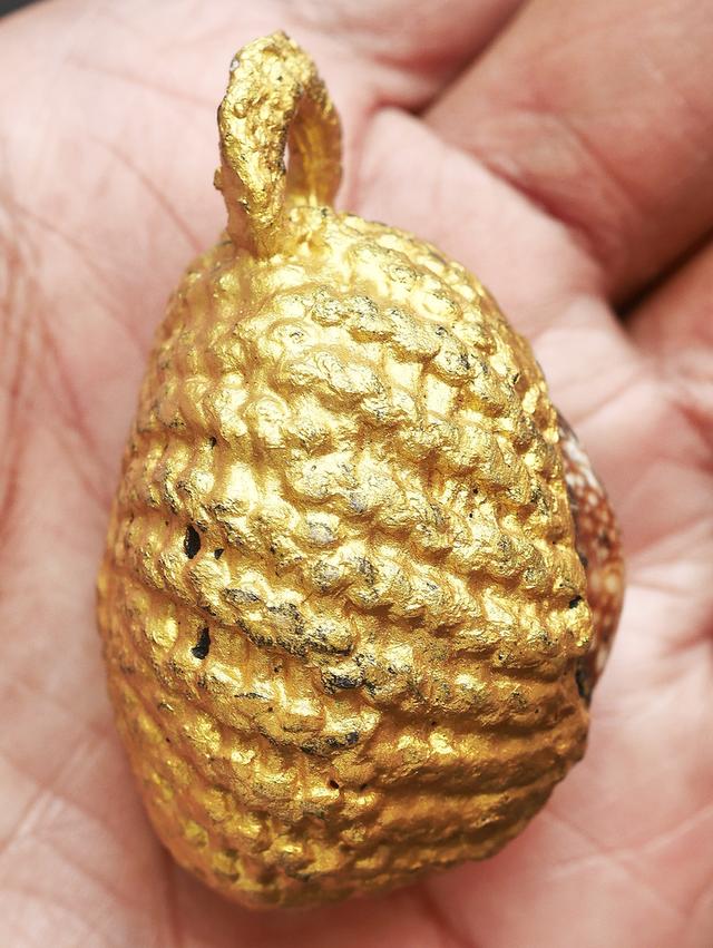 เบี้ยแก้จักรพรรดิ์ รุ่นมหาจักรพรรตราธิราช หลวงปู่หมุน ฐิตสีโล อายุ 108 ปี พ.ศ.2545..เก่า เดิมๆ 8