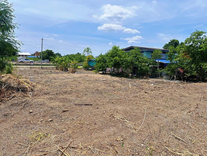 ขายที่ดิน130ตรว.ที่ติดถนน2ด้านด้านหลังติดคลอง 3