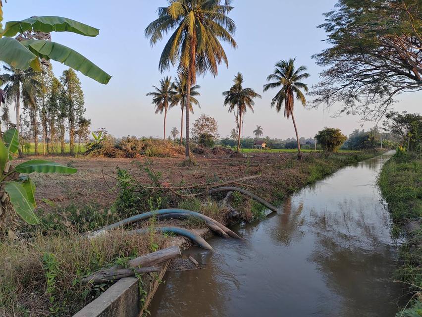 ขายที่ดินหน้ากว้าง รูปทรงชายธง ทำเลดีมาก – ต.ย่านยาว อ.เมือง จ.พิจิตร 9