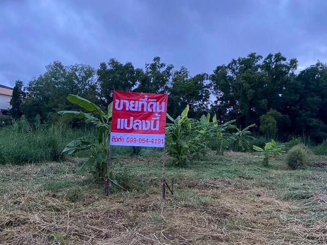 ขายที่ดิน 200 ตารางวา เจ้าของขายเอง  ตำบลโสธร อำเภอเมืองฉะเชิงเทรา  ฉะเชิงเทรา 2