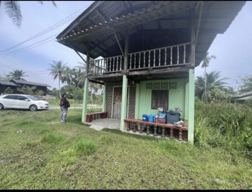 บ้านเดี่ยวพร้อมที่ดิน 1