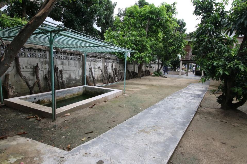 ขายบ้านพร้อมที่ดิน บ้านไม้เรือนไทย 3 ห้องนอน ติดคลองบางขุนเทียน ทำเลดี ใกล้ BTS วุฒากาศ 150 ม. 18