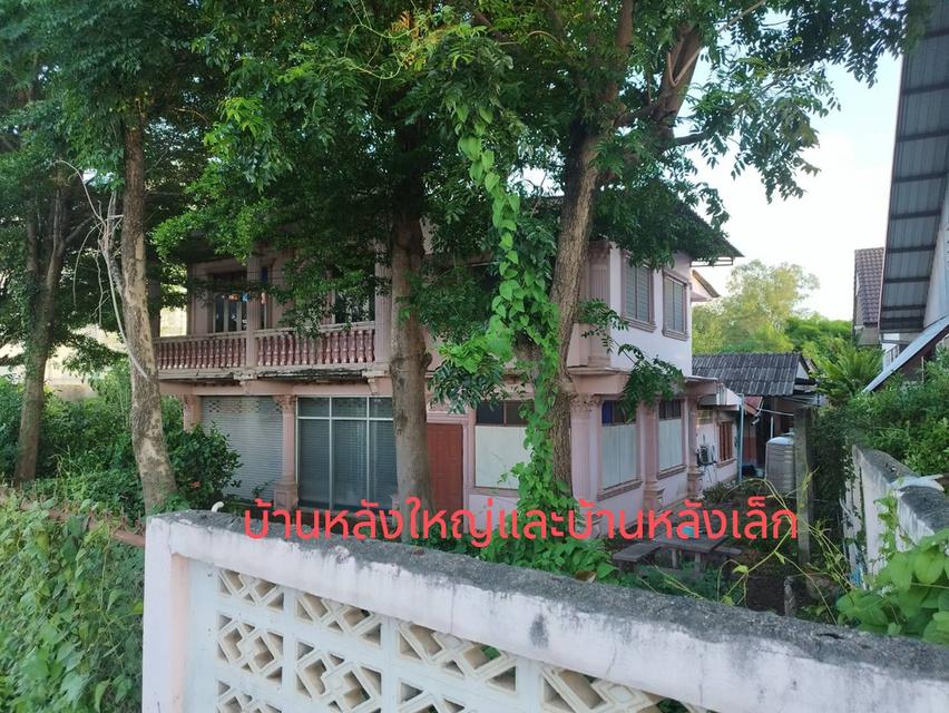 ขายบ้านพร้อมที่ดินทำเลดีติดถนนใหญ๋เขตชุมชนใน อ.เมือง จ.ลำพูน 6