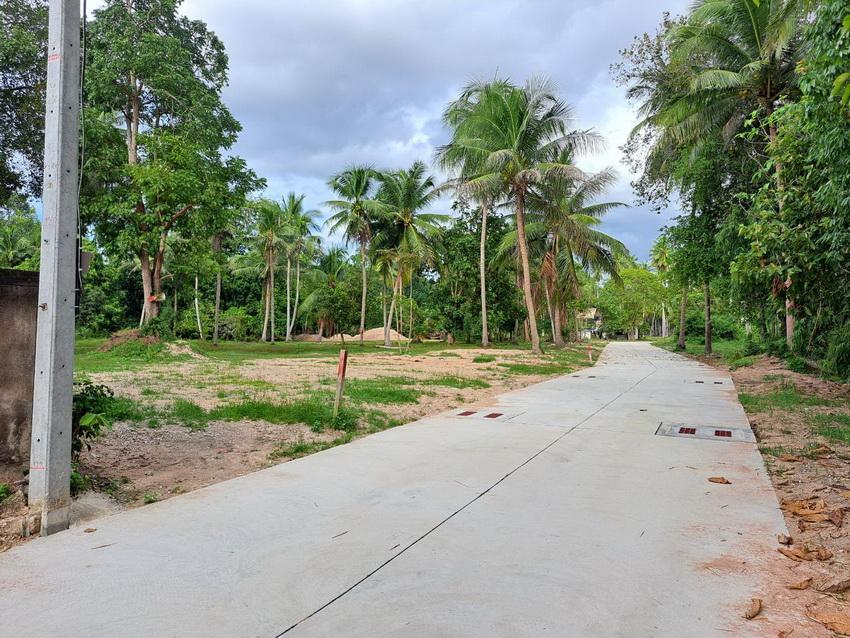 ขายที่ดินบางละมุง 200 ตร.ว ตะเคียนเตี้ย ใกล้นิคมโรจนะแหลมฉบัง ชลบุรี 3