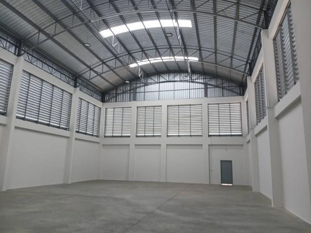 ขายโกดังพร้อมสำนักงาน 3 ชั้น สร้างใหม่ในพื้นที่กำลังพัฒนา ลำลูกกาคลอง9   ปทุมธานี  4