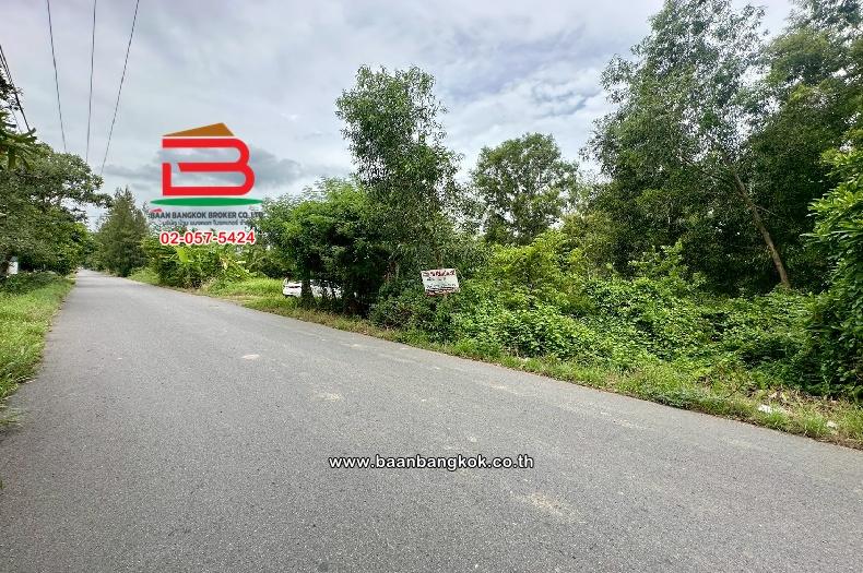 ที่ดินเปล่า ธัญบุรี-คลอง 6 เนื้อที่ 400 ตร.ว (ตรงข้ามศูนย์ฝึกอบรมวิสดอมพาร์ค) ตำบลคลองหก อำเภอคลองหลวง ปทุมธานี 3