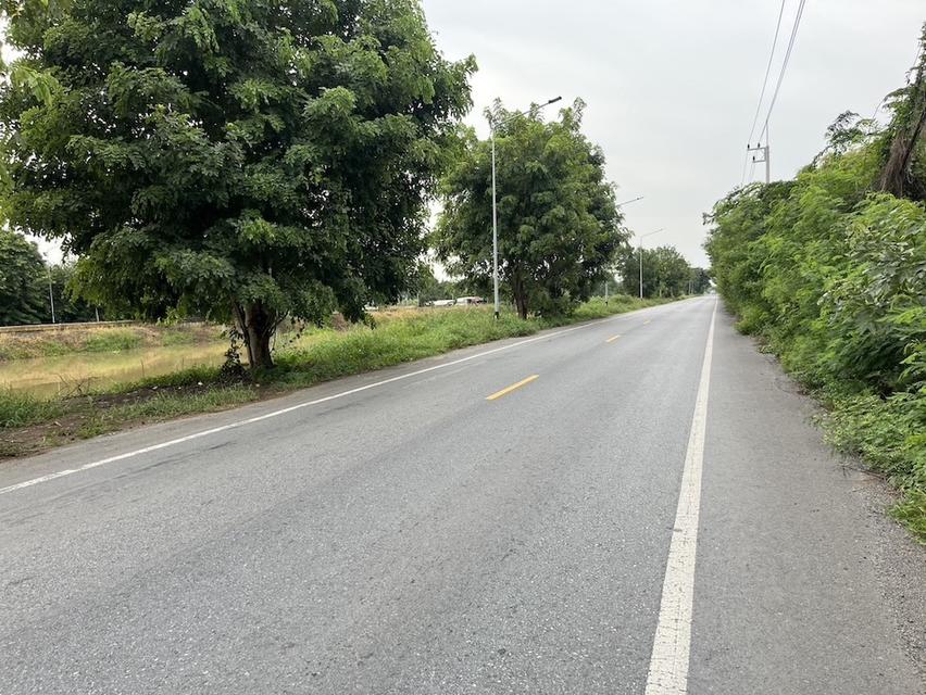 ขายที่ดิน 23 ไร่ ติดถนนเลียบคลองระพีพัฒน์ หนองเสือ ปทุมธานี 098 7755 808 7
