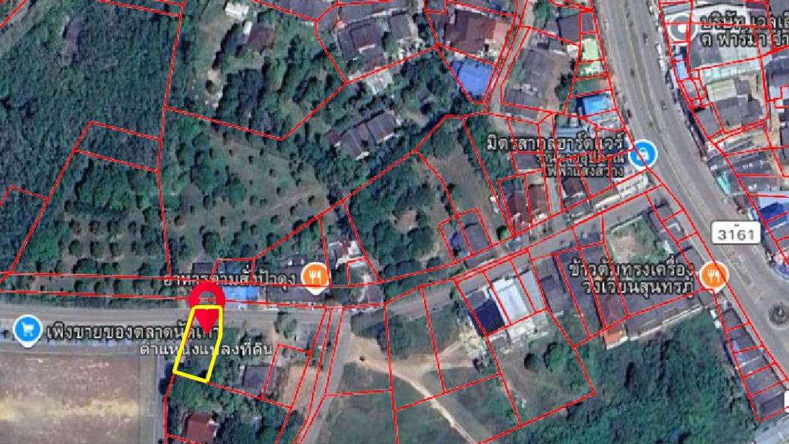 ขาย ที่ดิน 128 ตารางวา ต. กร่ำ อ.แกลง จ. ระยอง 4