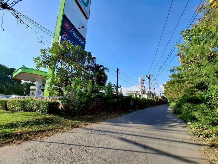 Vายด่วนที่ดินคลองแปด 100 ตารางวา ติดถนนคอนกรีตสาธารณะ ถมแล้ว ซอย คุณสัมฤทธิ์ อ.ธัญบุรี จ.ปทุมธานี 5