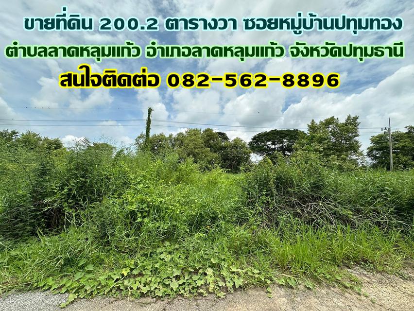 ขายที่ดิน 200.2 ตารางวา ซอยหมู่บ้านปทุมทอง ลาดหลุมแก้ว ปทุมธานี