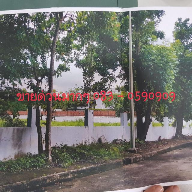 ขายที่ดิน หมู่บ้านปัญญา รามอินทรา P1 ซอย 9 ขายด่วน  ติดต่อ 083-0590909 (จีระศักดิ์)line :   phit4999 1